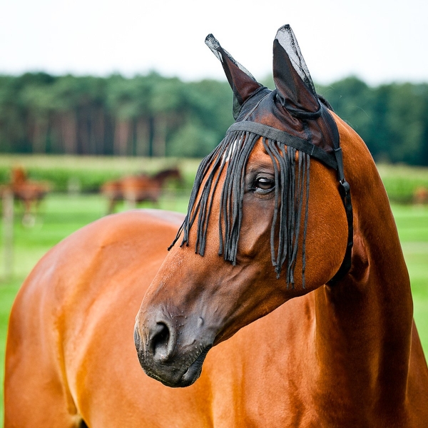 Horze Fliegenhaube aus Mesh mit Fransen